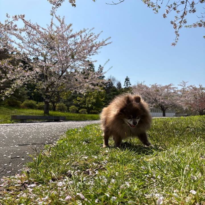 81885636 6154 46f8 97c6 d9b055e76ab9 1746778115908