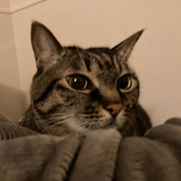 8188589d 0d3c 4ff1 91dc 6e8ac0d2985d 1607765232337