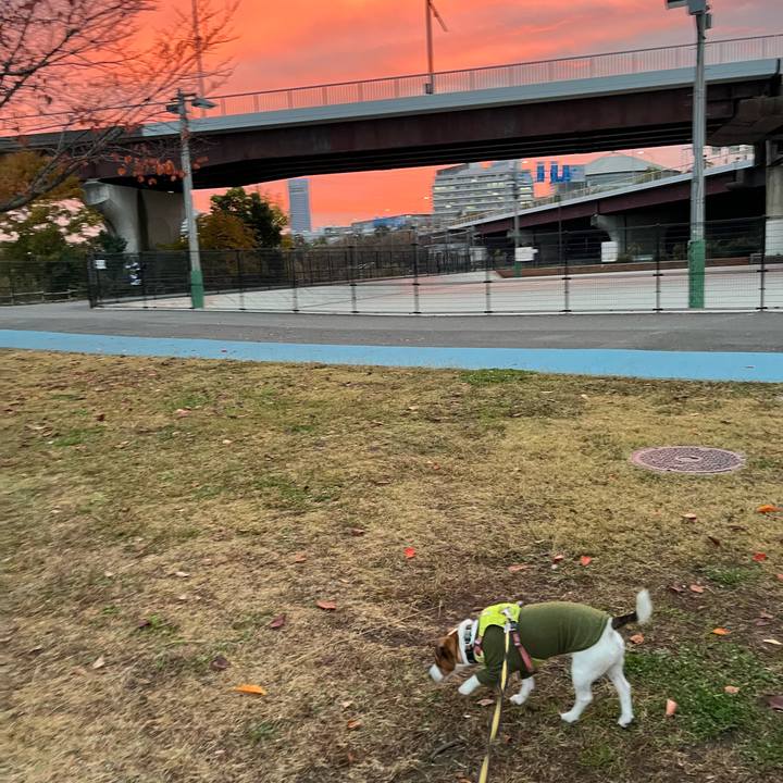 81889f89 7078 4f15 8183 0a2dc5a1fda4 1764069174429