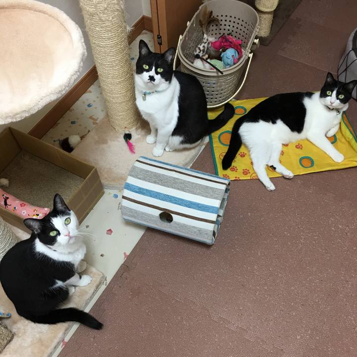 8188b26e 1357 4729 be33 5b17b2d4b6d1 1509772708660