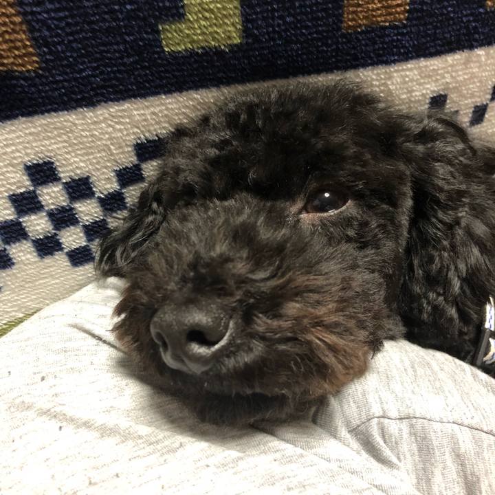 8188b5d9 49b3 4a20 8d6c 4eead52cbbf1 1518270316559