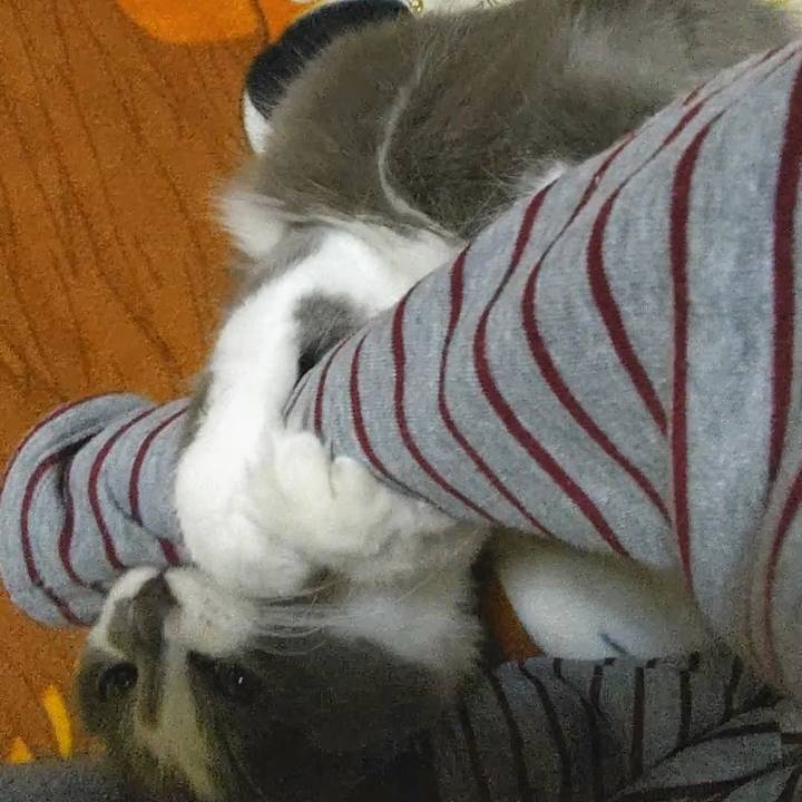 8188dae2 f0a7 4802 8dbe f0c9058563e5 1577190200818