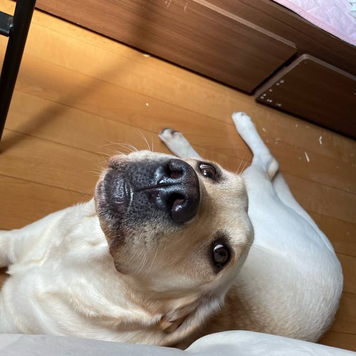 818913da bc99 4f6f b1a9 af0ea4d91f6b 1659410402769