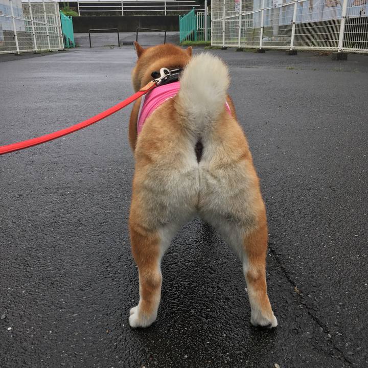 81892eee 58af 4e55 adce fac62dfc3bc7 1595476518170