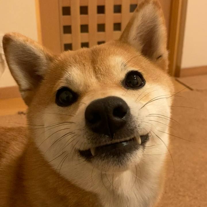 81894be4 9c31 47b2 969a 1eec78d53637 1643886540773