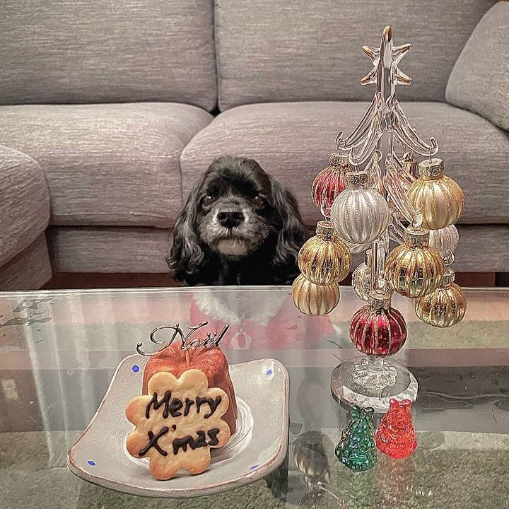 818958bc 8e70 48bd b902 8644e7dd9536 1703548678694