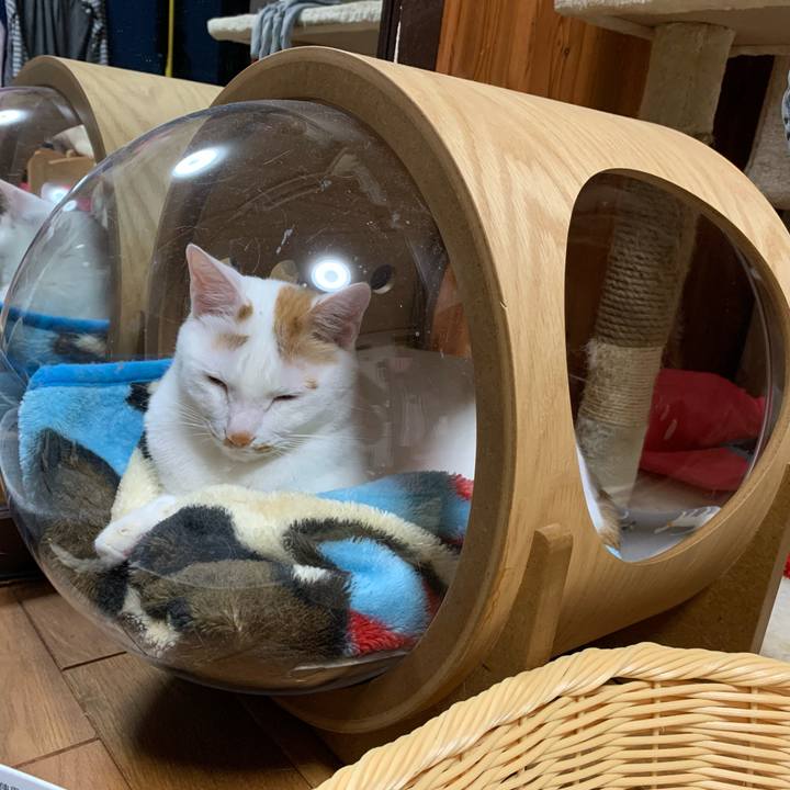 8189c199 c4c0 4b7d bee6 66cc644458a1 1585063049102