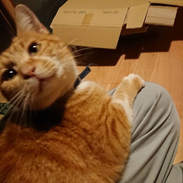 8189c3a5 1d27 4746 9383 4af19401a958 1601023880134