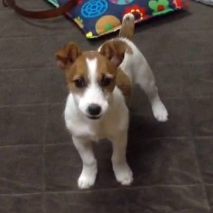 8189e98f 3f71 4cc4 b533 cd2fdd51dd50 1619828194324