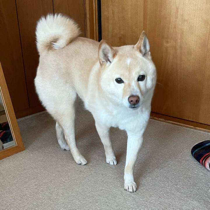 8189ecdf 0542 441c bfdc f96b760847c2 1679286792084