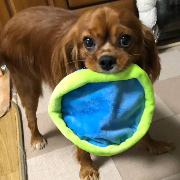 8189f8bc 1f01 4359 96de 950a7298e242 1529807607980