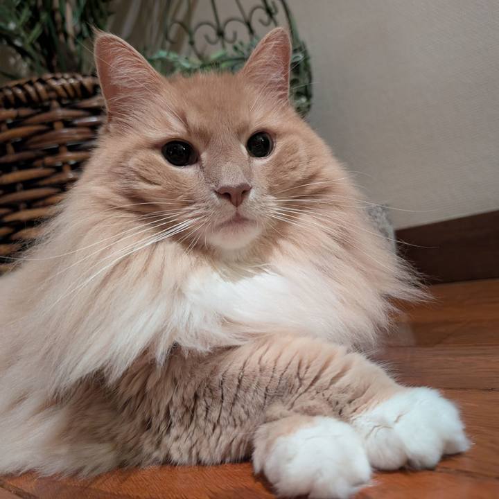 8189fd3e 68b0 4adc 9eba 2325540fe0f3 1759543263168