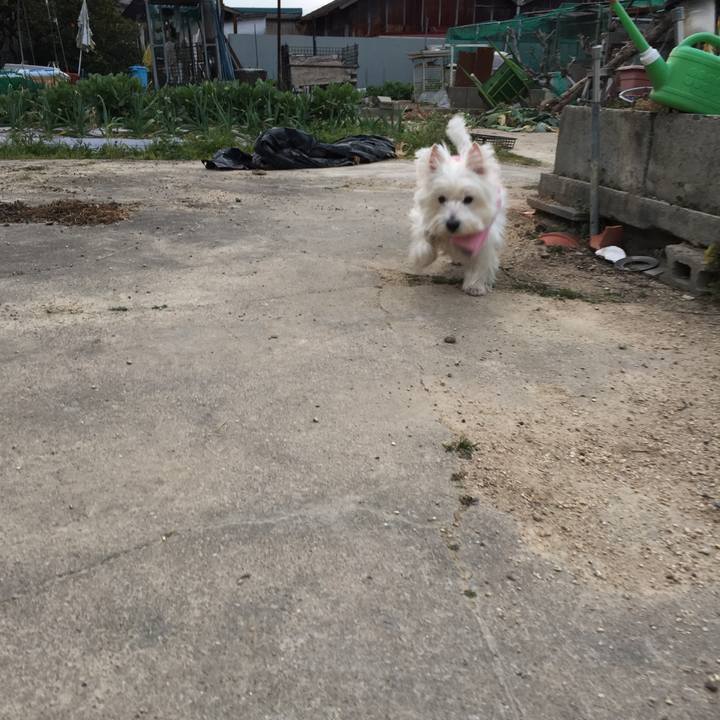 818a0da8 c429 4ce5 86de 70b2063d7211 1509602646291