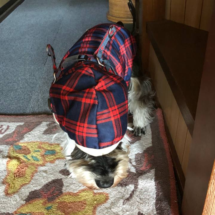 818a1603 b65a 45cc 8603 f8b77118e681 1647079493852