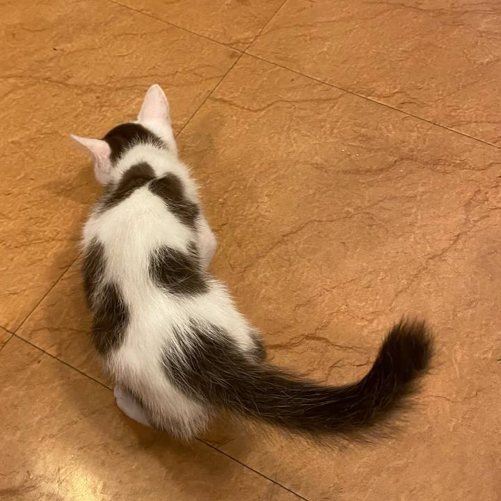 818a4a79 f6d3 488b 9929 2892b4687708 1688198785955