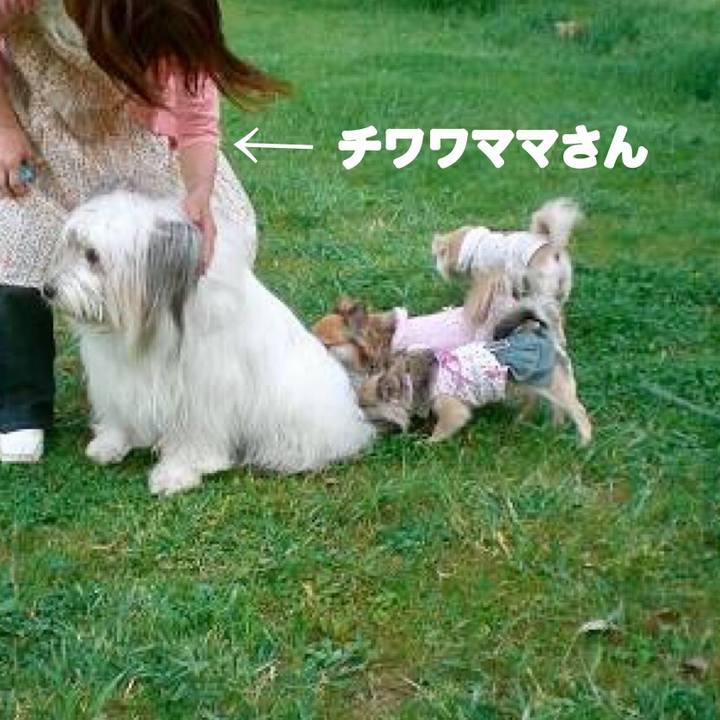 818a56d8 2227 45ae 9a64 0260639e4527 1565937903432