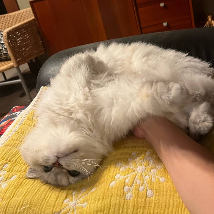 818a71b4 0f56 48a2 be46 f5a4ed2a5931 1757676830857