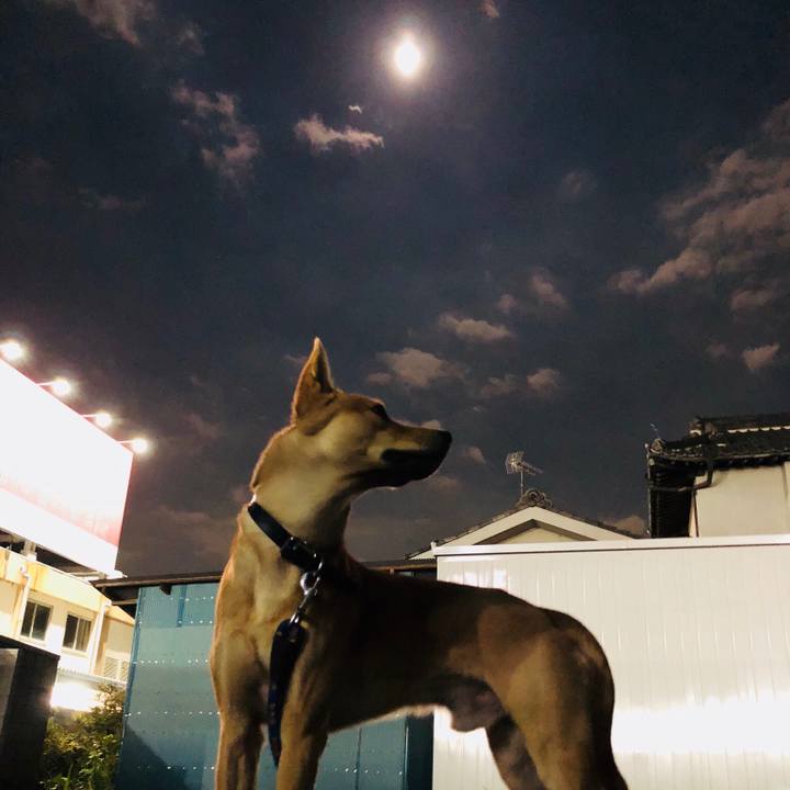 818a7518 a5e4 48f0 9945 1cb3dab19bd0 1540383011964