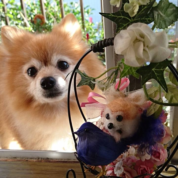 818aa7a4 f234 4626 804a 41e61398b372 1509671590538