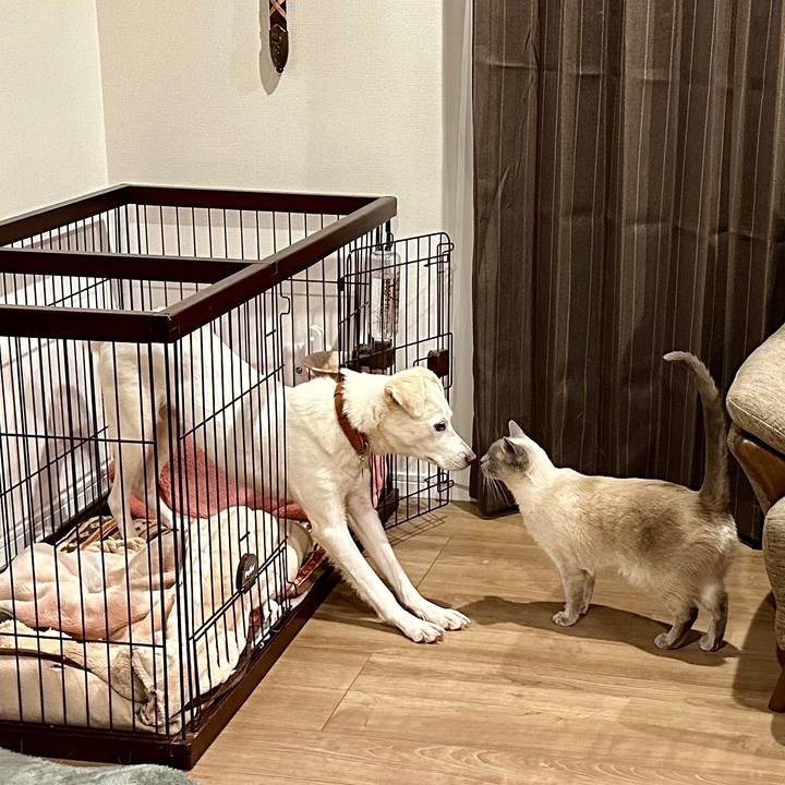 818acda3 b465 4cf4 bcb6 e4d06f2c1760 1674319724178