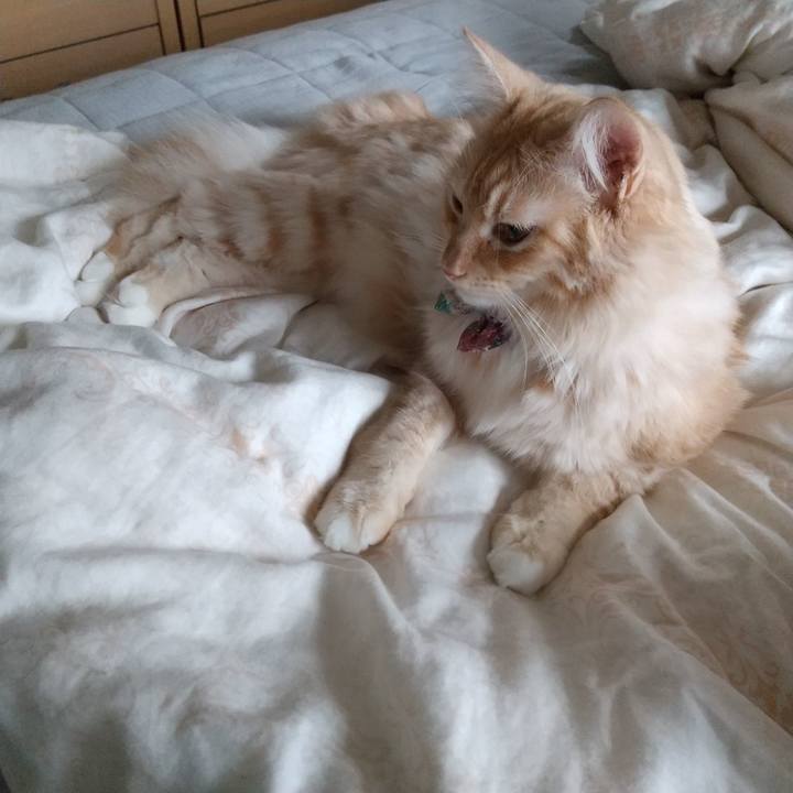 818b045e f98d 4552 bfad 49d9d80e8360 1632611061470