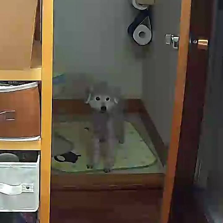 818b1a96 e5d5 4412 a706 b1f4e5c203b6 1622359589912