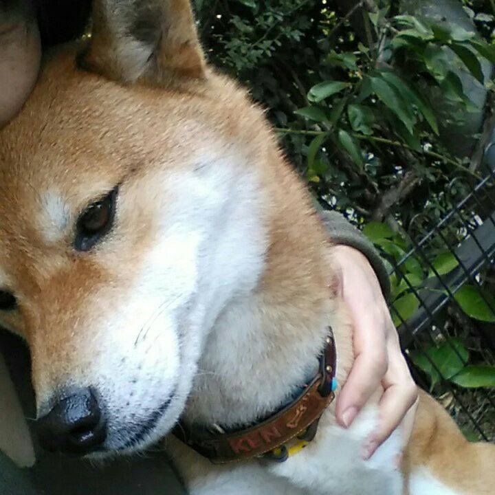 818b63cb 4e33 49a4 bd0f 9aaf1e206e51 1546656520933