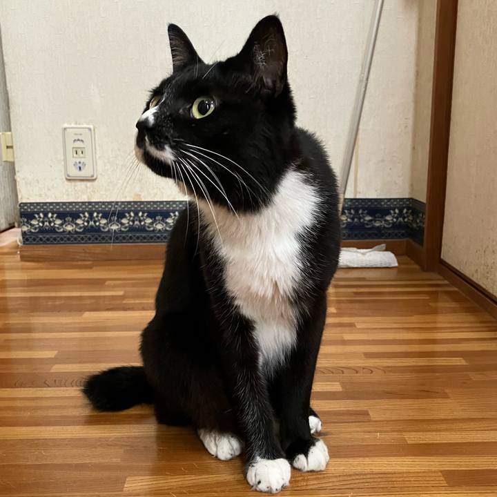 818b64e2 cafb 4765 abfa 422f4c771b55 1728450932724