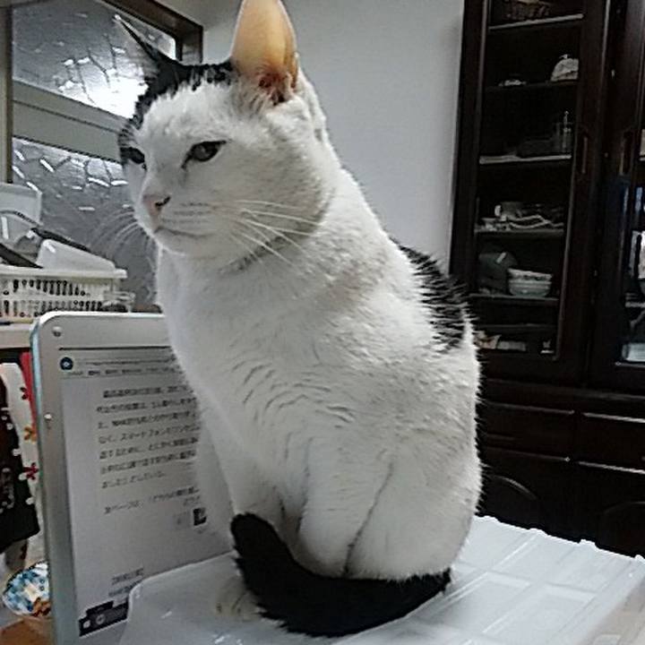 818b699f dfb7 4cd8 ac98 67765b53b51d 1512907531566