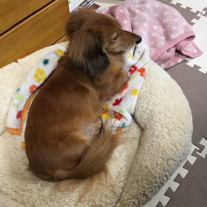 818b8ce7 cd64 4b70 a71c 4f1733863eb5 1545140018972