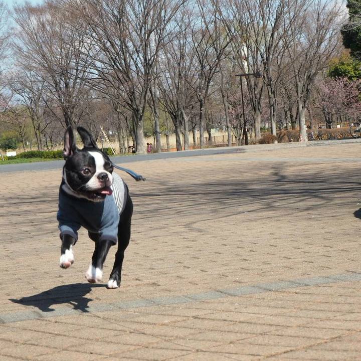 818b9320 9fc0 4e5b 91f3 c374d8724a10 1520666138141