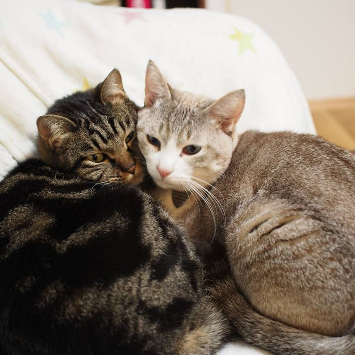 818b967b 123f 4fcc a01a 847e4f2ba601 1580823926062