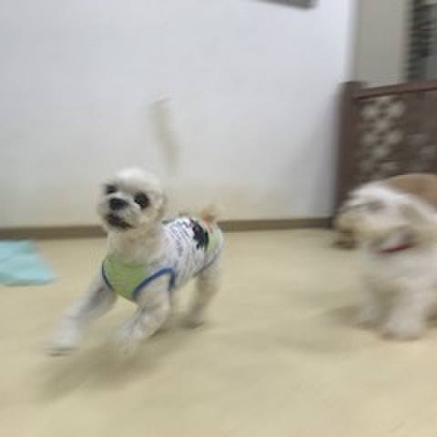 818bc143 178a 4425 b151 9e4df295e678 1508239995388