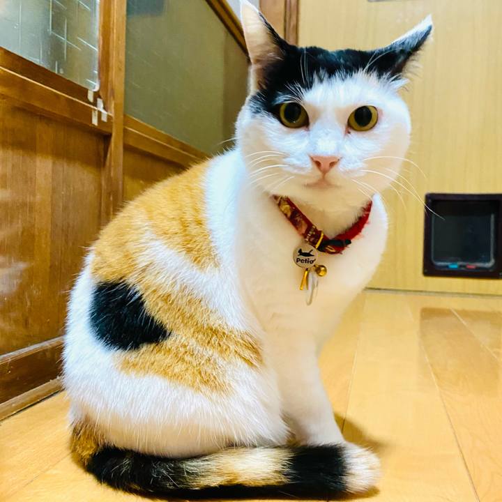 818bf4c5 705a 4e54 94ab 8bf461c16a87 1714165602884