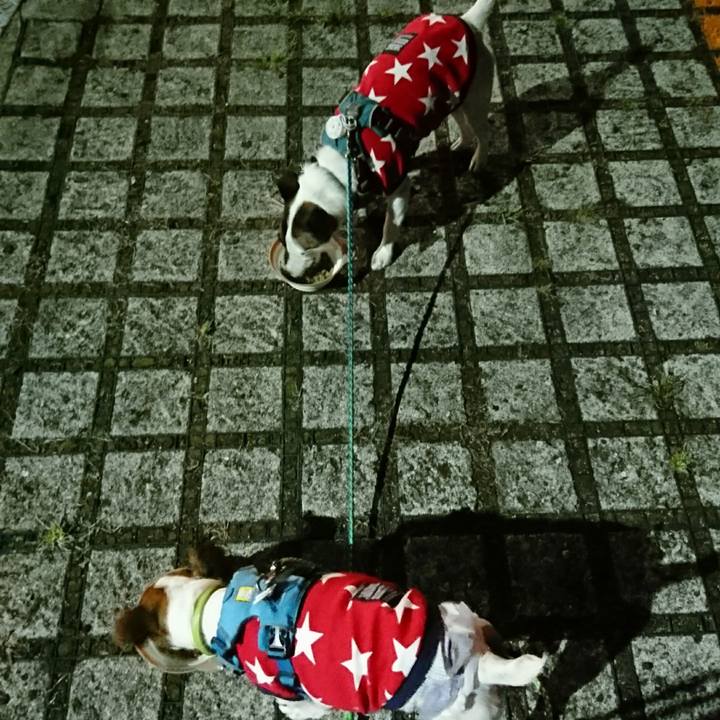 818c0959 2b2f 44a7 8800 b6b3c9c6270d 1600692472396