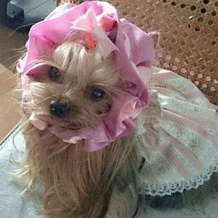 818c41c3 ee66 4256 a7d4 3f174e952a88 1535589902873