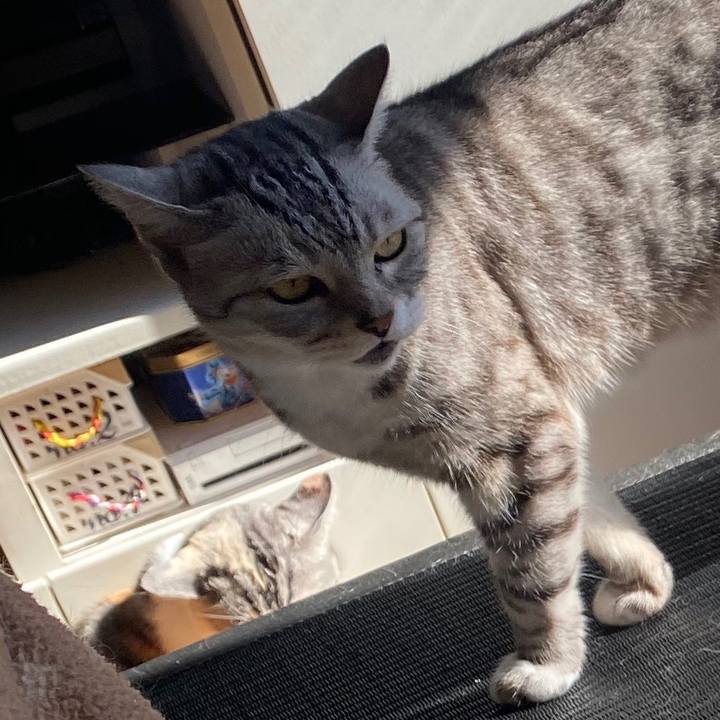 818c4762 b1e1 4417 a327 ebac5f9b8531 1579489957980