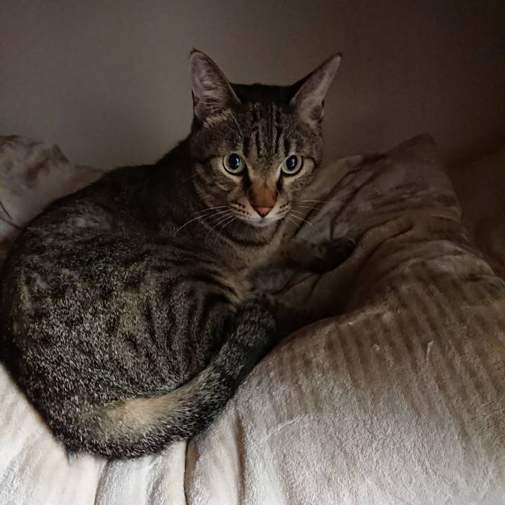 818c5900 d6a1 4915 9071 0ce405c37525 1602695039735