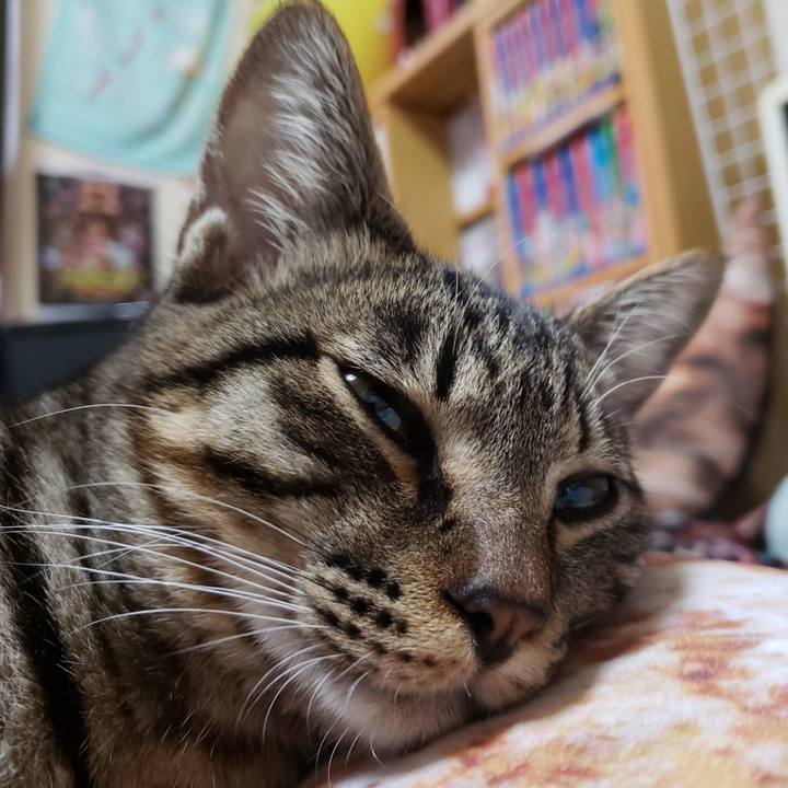 818c9fa0 ee43 41fc a19f e86080c365bb 1543991268758