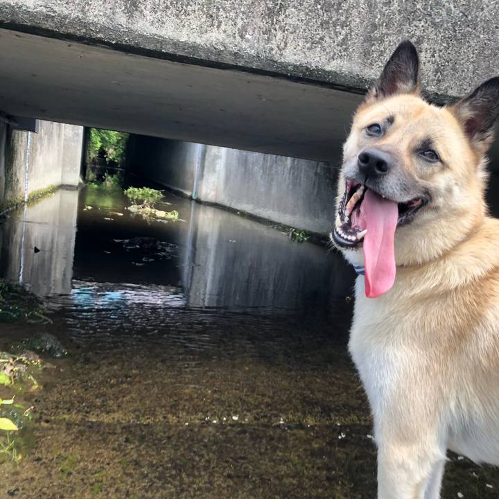 818cbf2e 151d 4912 b033 7795251ccc3d 1564911934623