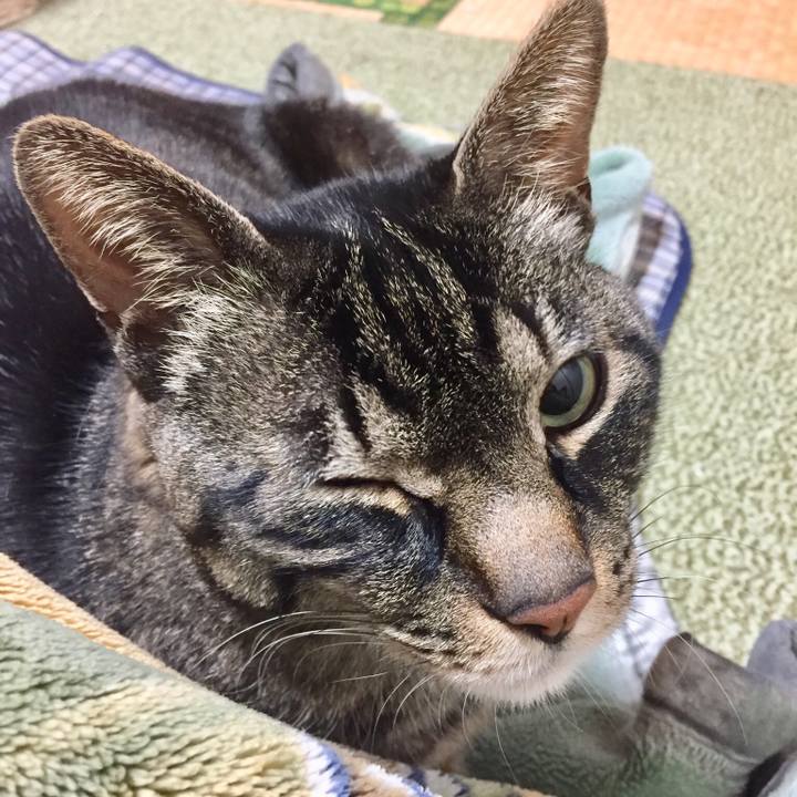 818d9f86 7ee2 4355 b5a0 2f901b7870ea 1526040138648