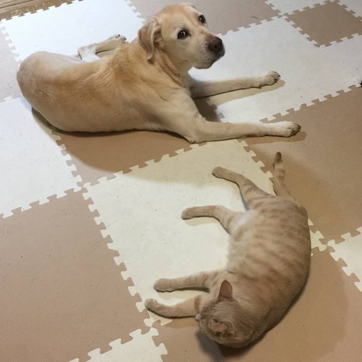 818da6fd 769d 49af 9a7b 113878ec9d2d 1570275595153