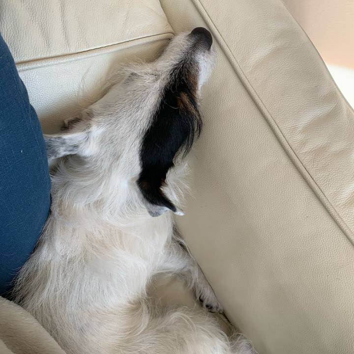 818de4c8 d3d4 473c a6e3 57e4e8c57e87 1614229022375