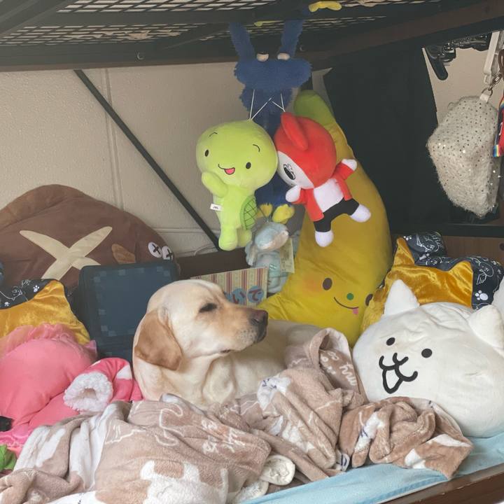 818deb61 250c 4b99 bd04 630794b6b8da 1675092094360