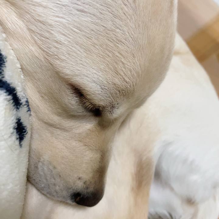 818df72a 564a 4225 8c4f 9c82bde33c69 1617633242001