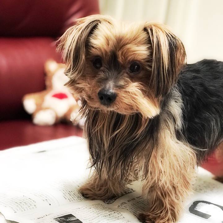 818e1260 7570 4727 b4fb 38bb6634cc98 1520639430511