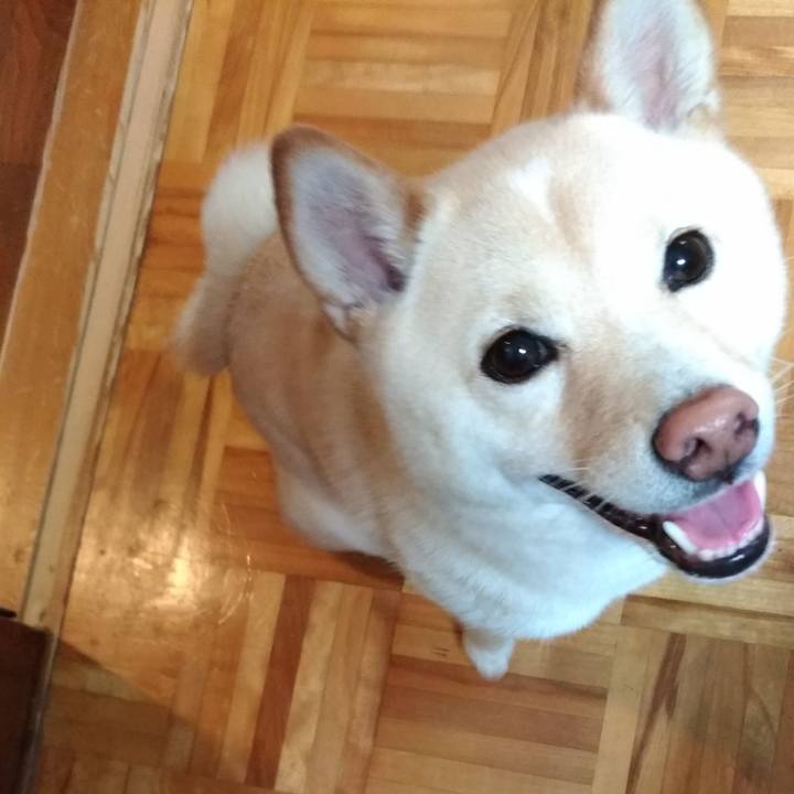 818e2acb aaa1 4585 85b1 6b3d004d37d2 1562753579487