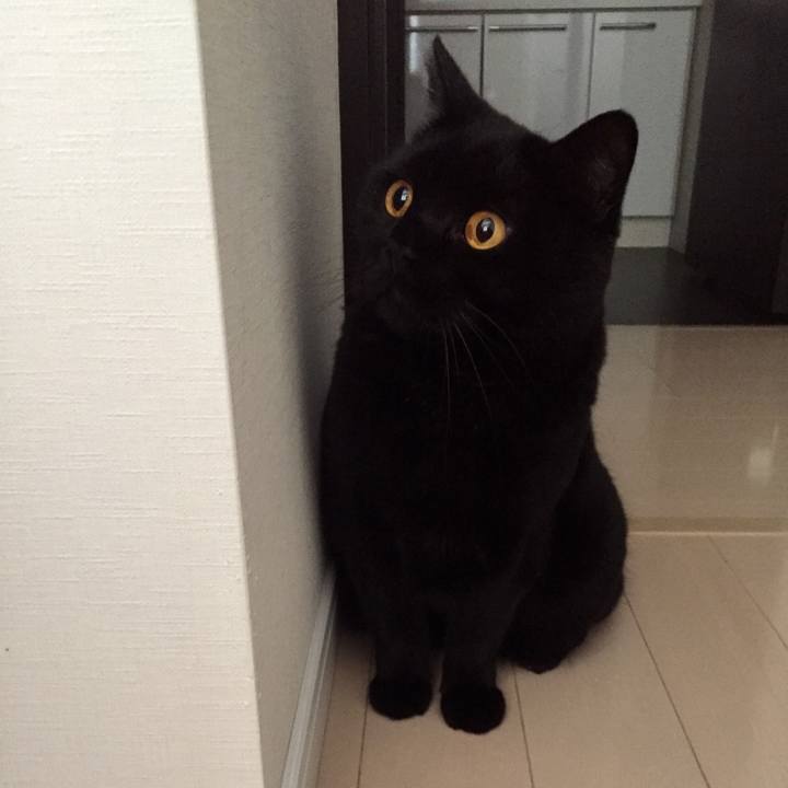 818e3ad3 6b83 4972 9770 1c3cd17cff59 1588377160226