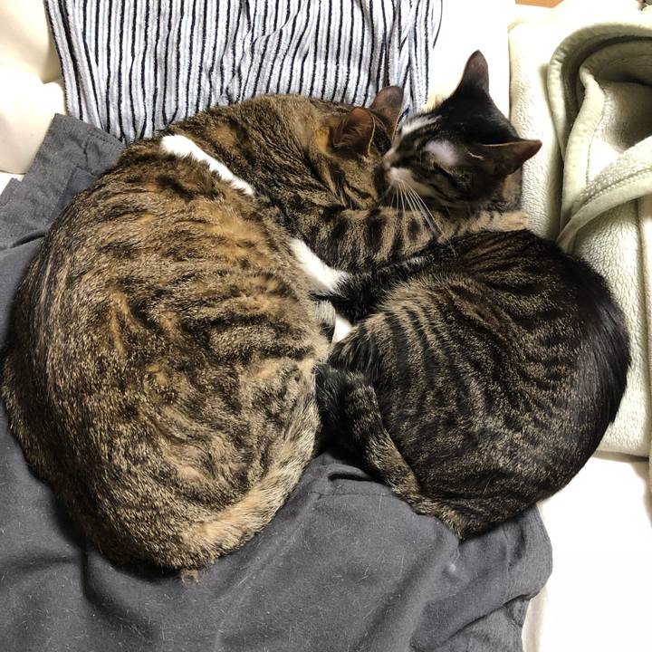 818e6265 43a4 43fe 8837 5042e2992f38 1523602780680