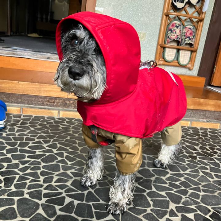 818e8456 c6e6 4995 8692 f3d16c1a1bf9 1748142733189